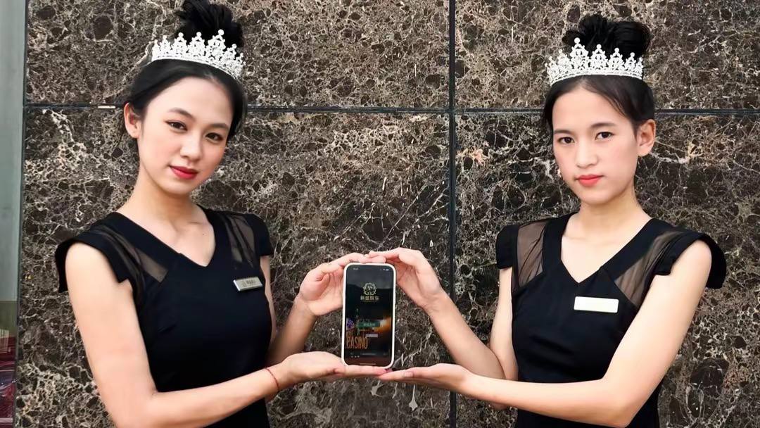 体育娱乐数据